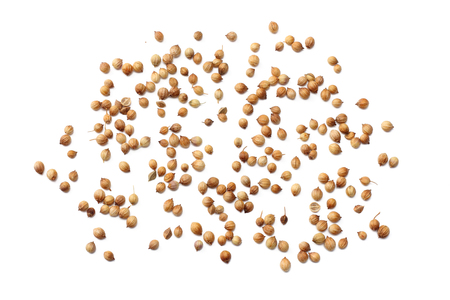 coriander seeds isolated on white backgroundの写真素材