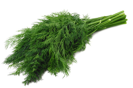 bunch fresh green dill isolated on white backgroundの写真素材