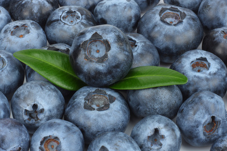 Fresh blueberries texture or background. top viewの写真素材