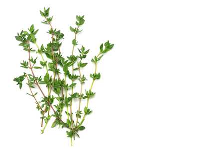 Thyme bunch isolated on white background close upの写真素材