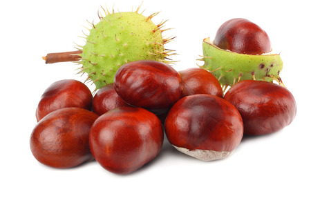 chestnuts isolated on white background. Healthy background.の写真素材