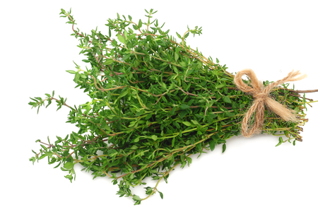 green thyme bunch isolated on white background.の写真素材