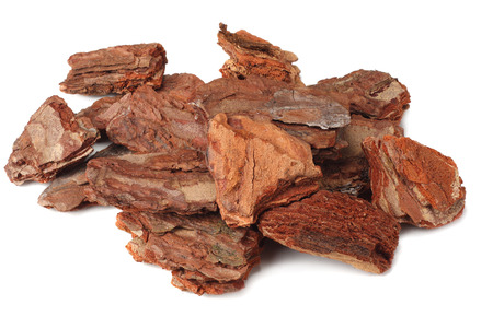 Tree bark pieces isolated on white backgroundの写真素材