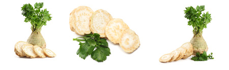 celery collection. celery root with leaf isolated on white background. Celery isolated on white. Healthyの写真素材