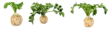 celery collection. celery root with leaf isolated on white background. Celery isolated on white. Healthyの写真素材