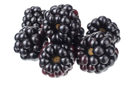 blackberries isolated on a white background. macro