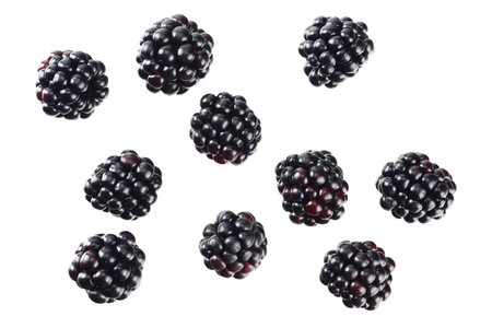 blackberries isolated on a white background. top view