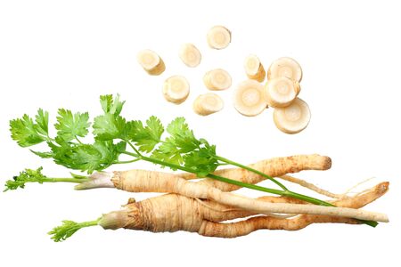 fresh parsley root isolated on white background. top viewの写真素材