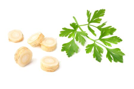 fresh parsley root isolated on white backgroundの写真素材