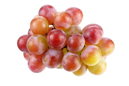 blue grapes berries isolated on white background. macroの写真素材