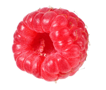 one ripe raspberry isolated on white background macro