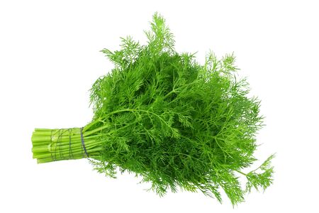 bunch fresh green dill isolated on white backgroundの写真素材