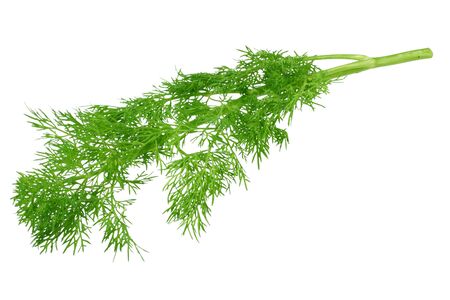 fresh green dill isolated on white background. top viewの写真素材