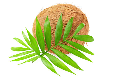 coconut with green leaves isolated on white background