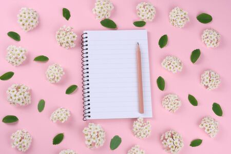 frame of spring white flowers on pink background. Flat lay, top view.の写真素材