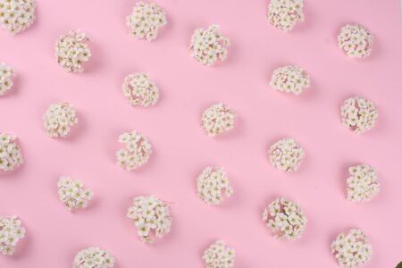 frame of spring white flowers on pink background. Flat lay, top view.の写真素材