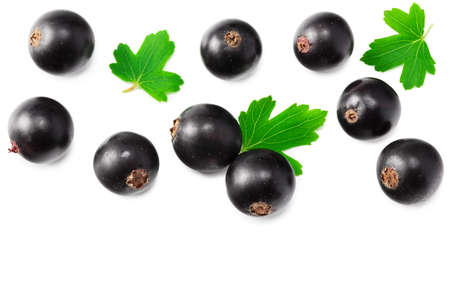 blueberries with leaves isolated on white backgroundの写真素材