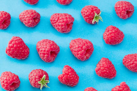 red rose isolated on a white background. full depth of fieldの写真素材