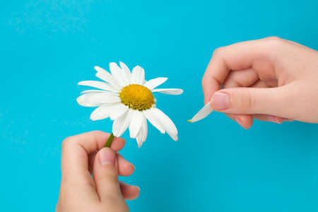 fresh plum fruit with green leaf isolated on white background. full depth of fieldの写真素材