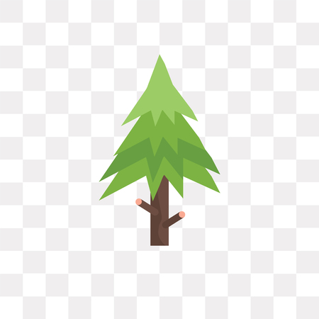 Spruce vector icon isolated on transparent background, Spruce logo conceptのイラスト素材