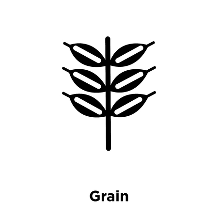 Grain icon vector isolated on white background, logo concept of Grain sign on transparent background, filled black symbolのイラスト素材