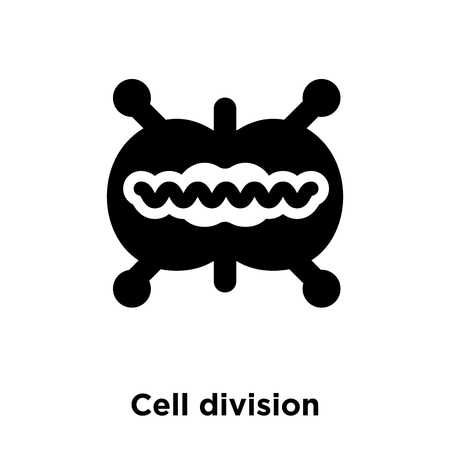 Cell division icon vector isolated on white background, logo concept of Cell division sign on transparent background, filled black symbolのイラスト素材