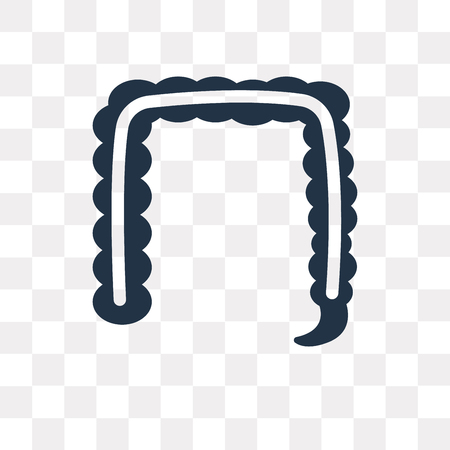Intestine vector icon isolated on transparent background, Intestine transparency concept can be used web and mobileのイラスト素材