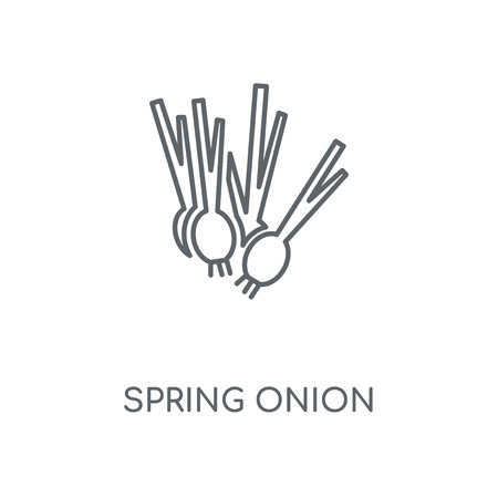 Spring onion linear icon. Spring onion concept stroke symbol design. Thin graphic elements vector illustration, outline pattern on a white background, eps 10.のイラスト素材