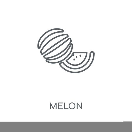Melon linear icon. Melon concept stroke symbol design. Thin graphic elements vector illustration, outline pattern on a white background, eps 10.のイラスト素材