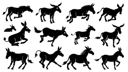 Collection of 16 Silhouette Images of a Donkey in Black and Whiteのイラスト素材