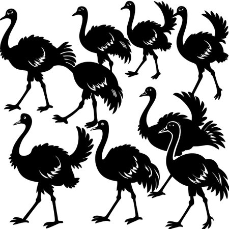 Majestic Ostriches Silhouettes Racing Across the Savannah Landscapeのイラスト素材