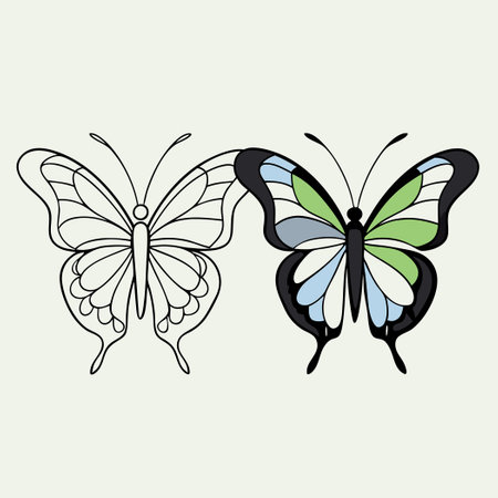 Detailed Black Pencil Drawing of a Butterfly with Intricate Wing Patternsのイラスト素材