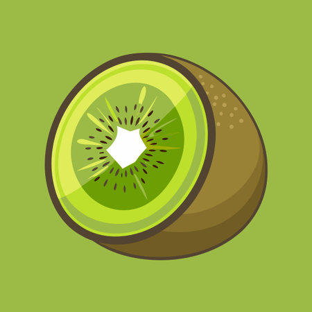 Flat Creative Silhouette Icon of a Kiwi Fruit Cut in Halfのイラスト素材
