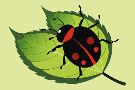 Silhouette of a Ladybug Crawling on a Verdant Leaf in Natural Sunlightのイラスト素材