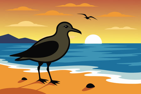 Silhouette of a Hungry Seagull Searching for Food on a Coastal Landscapeのイラスト素材