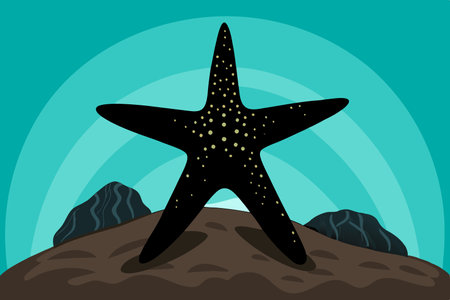 Silhouette of a Starfish on a Rocky Shoreline at Sunsetのイラスト素材