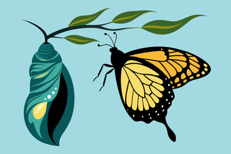Silhouette of a Butterfly Emerging from its Cocoon, a Symbol of Transformation and Renewalのイラスト素材