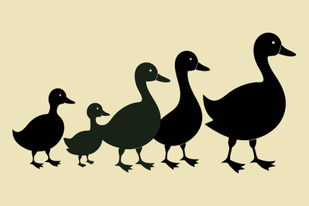 Silhouette of a Leisurely Family of Ducks Strolling in Unityのイラスト素材