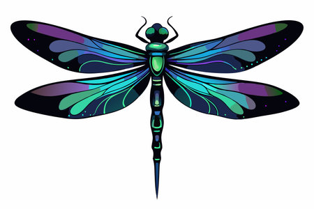 Iridescent Silhouette of a Dragonfly's Delicate Wings on a Tranquil Nightのイラスト素材