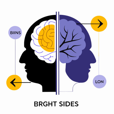 Illustrative Depiction of Human Brain Hemispheres and Their Functionsのイラスト素材