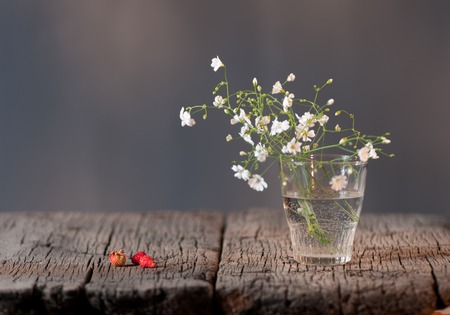 White elegant gypsophila in a glass on old table.の写真素材