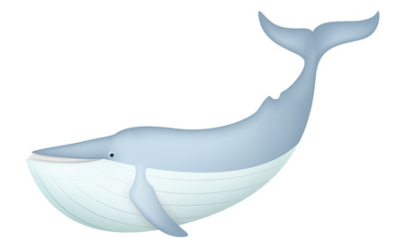 Cute Blue Whale isolated on whiteのイラスト素材