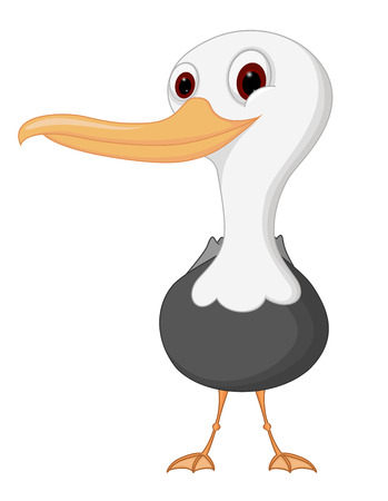 Seagull cartoonのイラスト素材