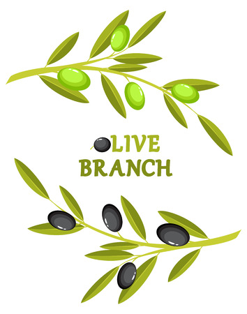 Olive branch wreath vectorのイラスト素材