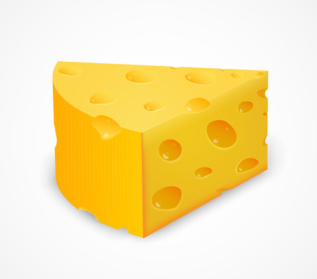 Piece of cheese isolated on whiteのイラスト素材