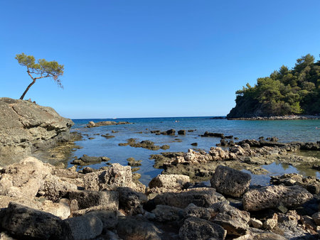 I PROVIDE MY WORKS TO YOUR LIKEの写真素材