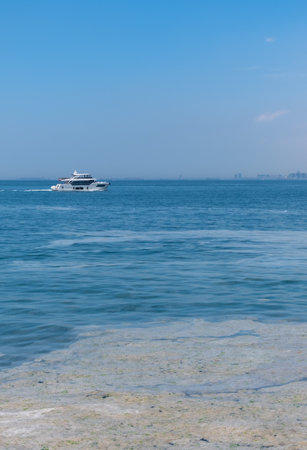mucilage on the sea surface, istanbul, environmental disaster, open sea,の写真素材