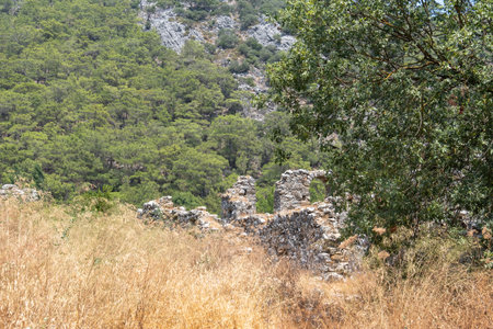 Ruins of the ancient city of Olympos on the Mediterranean coast. Antalya, Turkey.