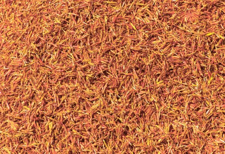 dried saffron flowers. medicinal plants and spices