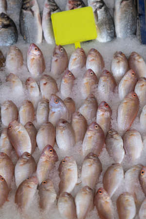 red coral fish on ice at the market